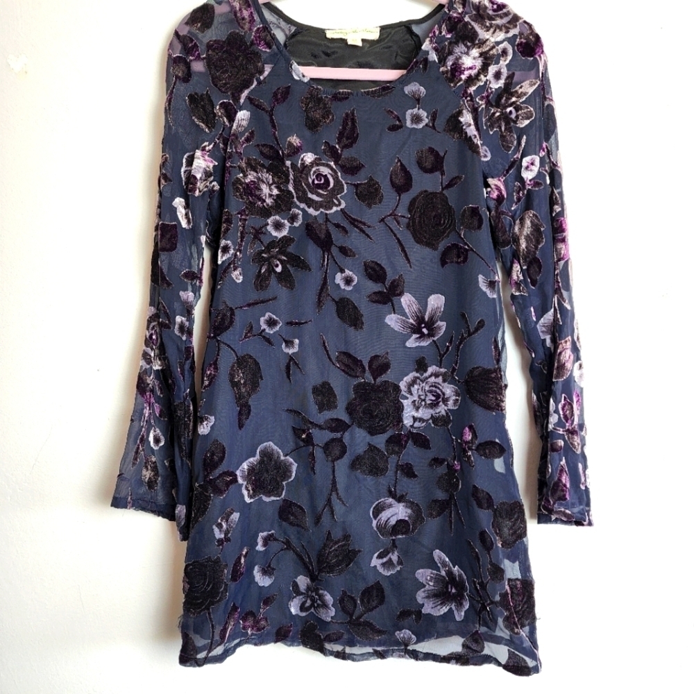 Staring at Stars Round Neck Sheer Velvet Fully Lined Long Sleeve Dress  Size XS